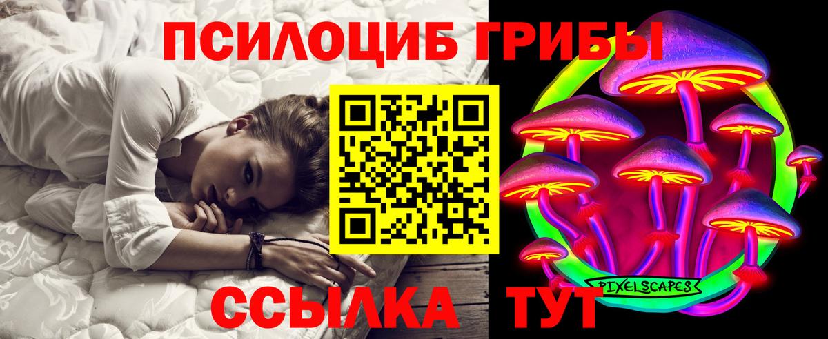 Галлюциногенные грибы GOLDEN TEACHER  Вход с VPN  как найти наркотики  Спасск-Дальний  Галлюциногенные грибы GOLDEN TEACHER 